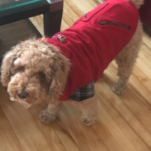 Meet your Posher, Aristotle